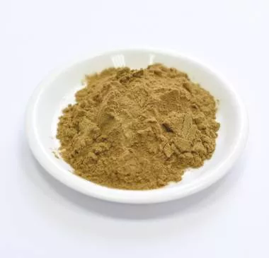 Сухой экстракт алоэ - алоин 10% (лист) (лат. Aloe Vera)